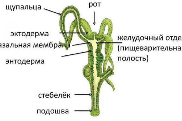 Kra27.cc
