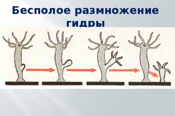 Кракен это современный даркнет маркет плейс