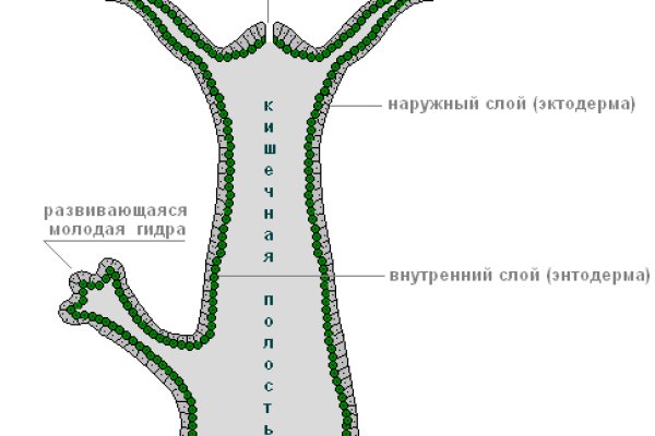 Кракен магазин kraken clear com